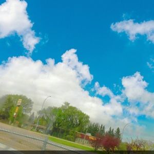 Meet your Posher, Tracy